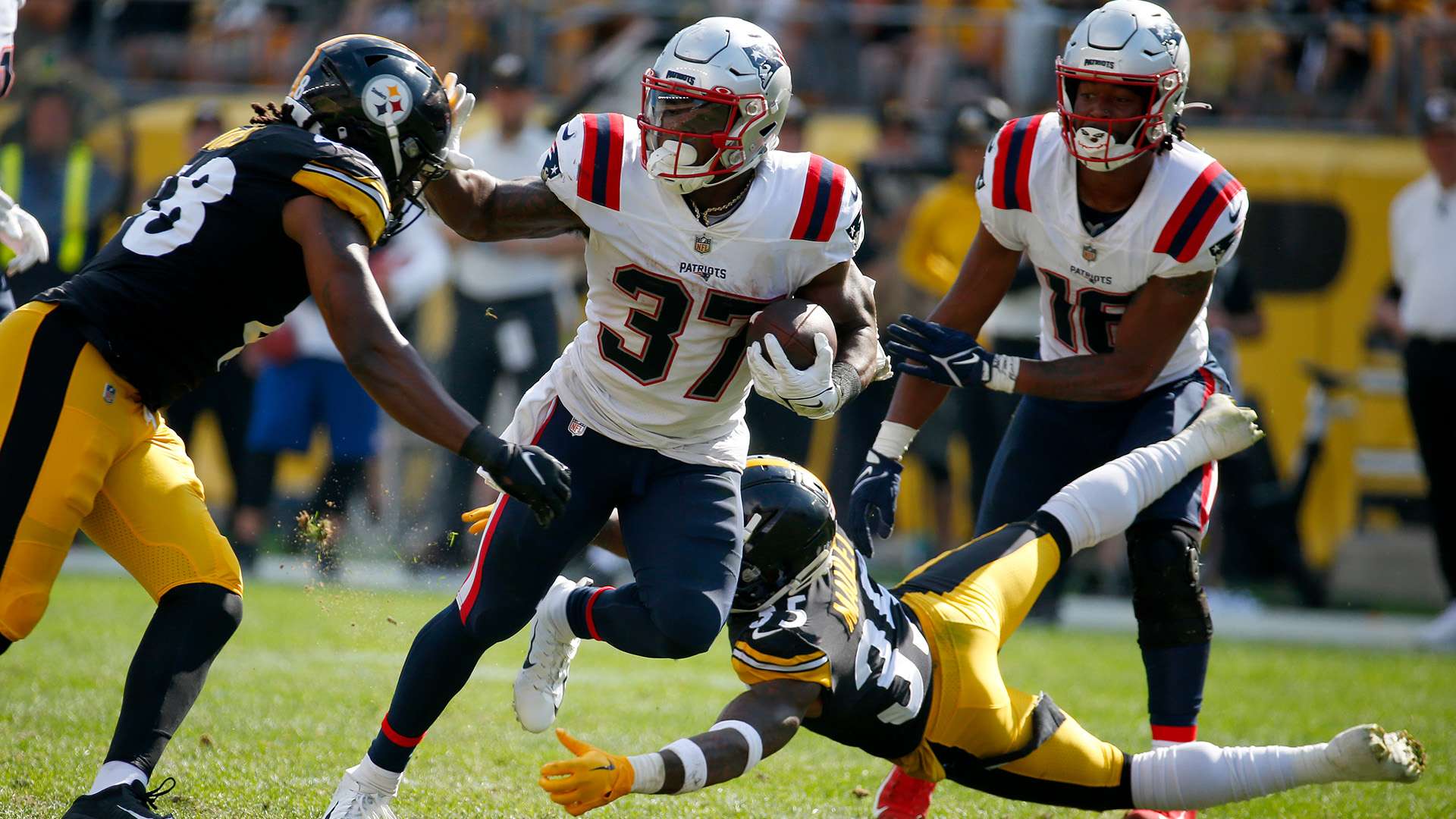 表现无疑为 表现无疑为