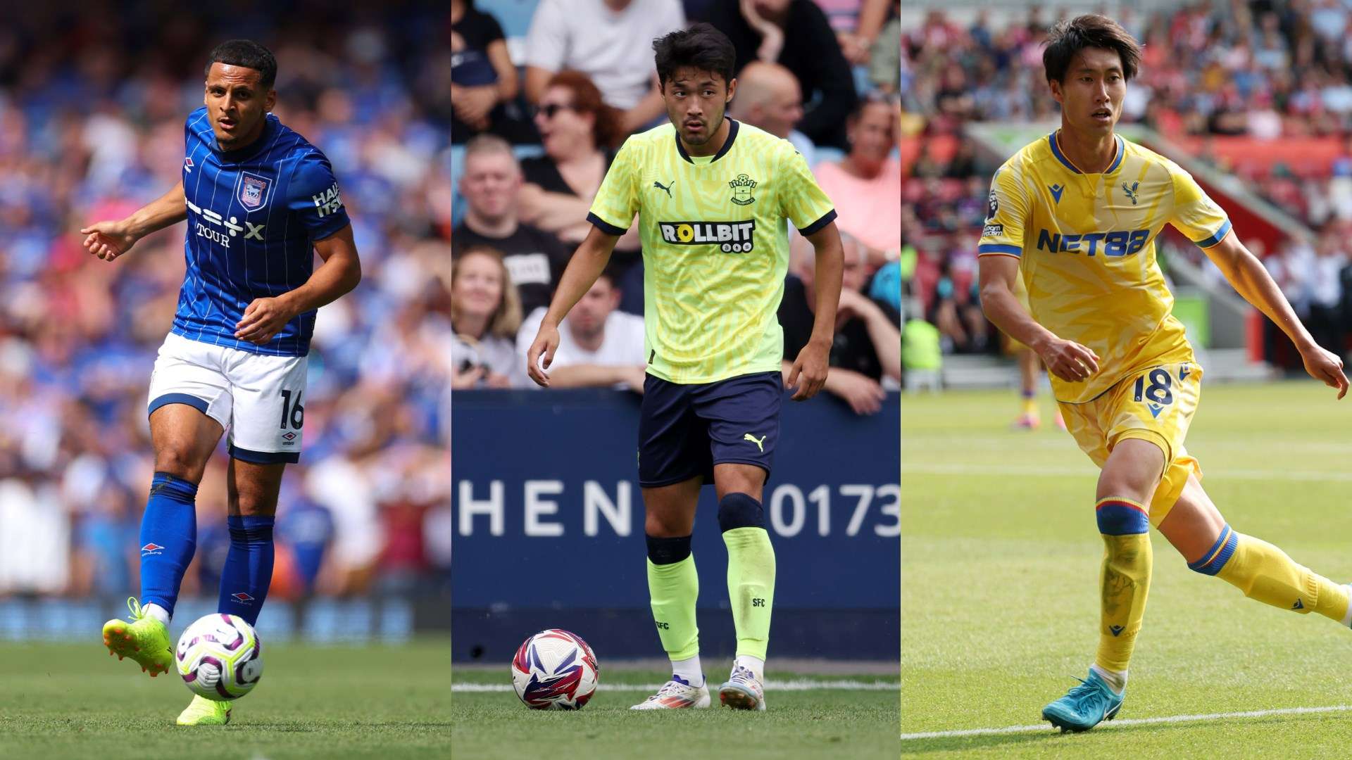 增添了更多 增添了更多